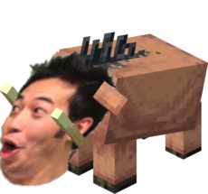 poglin
