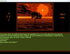 Vous êtes dans un désert et avez perdu la mémoire.