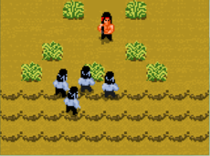 run and shoot zombies