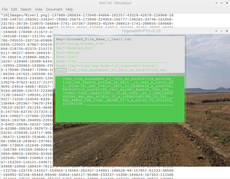 Turn your Raspberry Pi (using pygames graphics) into an encryption machine like the famous
Enigma of WWII.